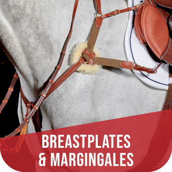 Breastplates and Martigales
